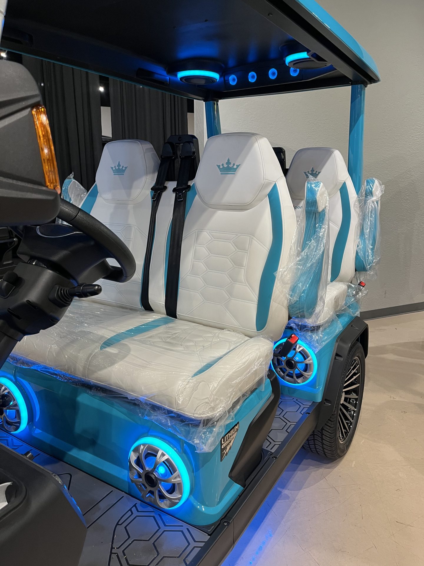 2026 Evolution D-MAX GT4 golf cart marine luxury seating interior